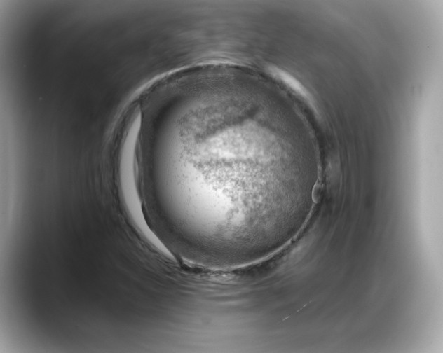 X0000088371310200706051034