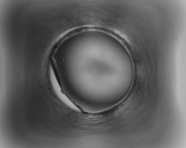 X0000088371311200706051034