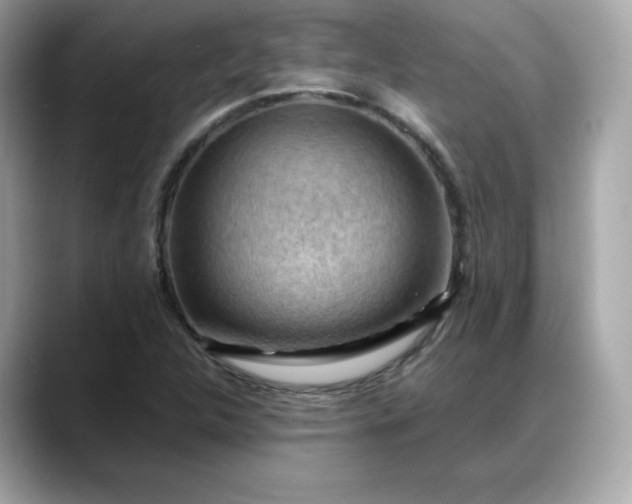 X0000088371312200706051034