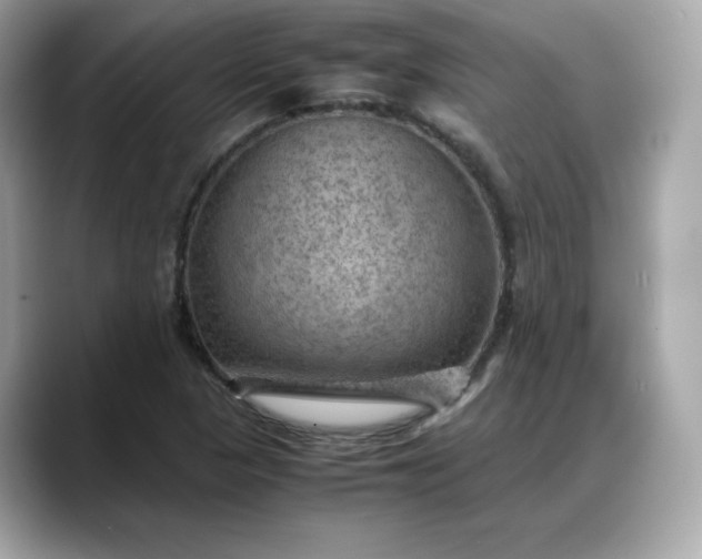 X0000088371313200706051034