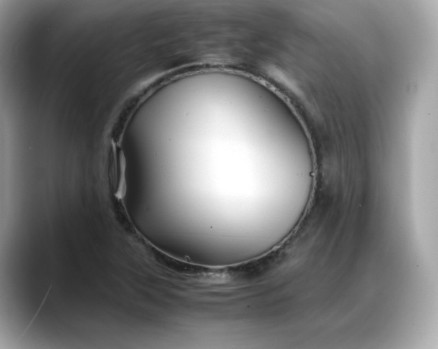 X0000088371315200706051034