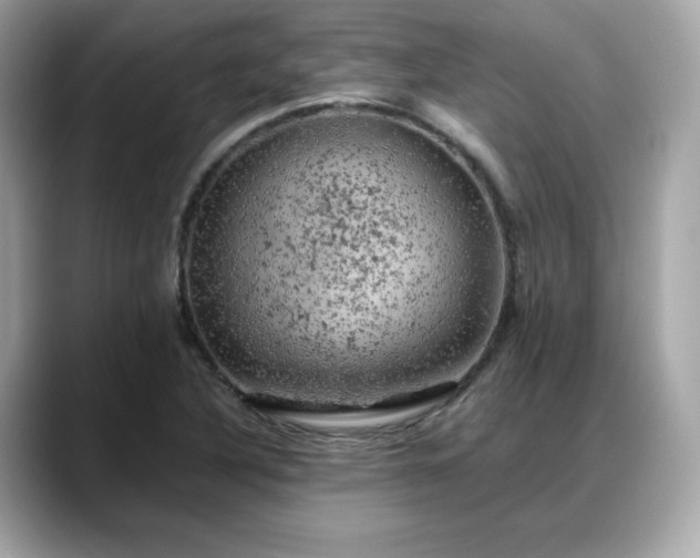 X0000088371316200706051034