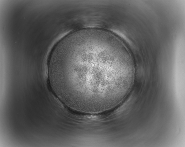 X0000088371317200706051034