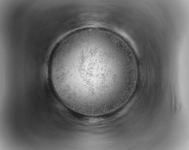 X0000088371318200706051034