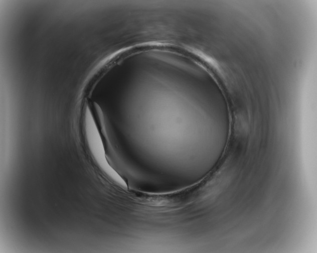 X0000088371319200706051034