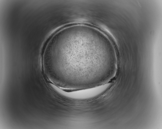 X0000088371320200706051034