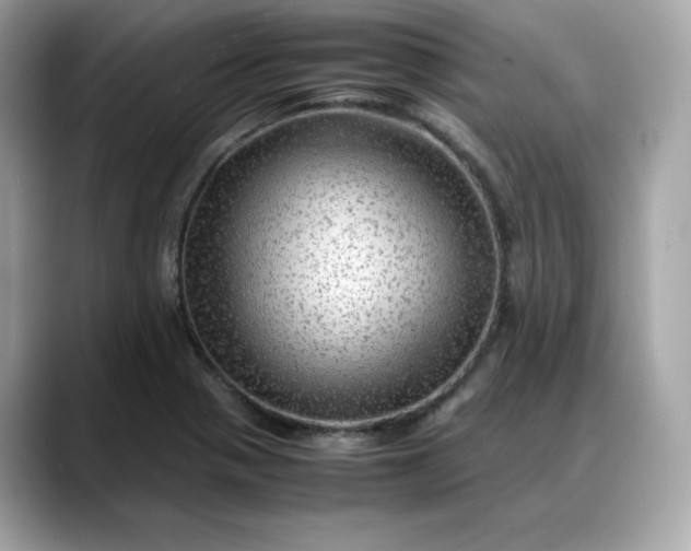 X0000088371321200706051034