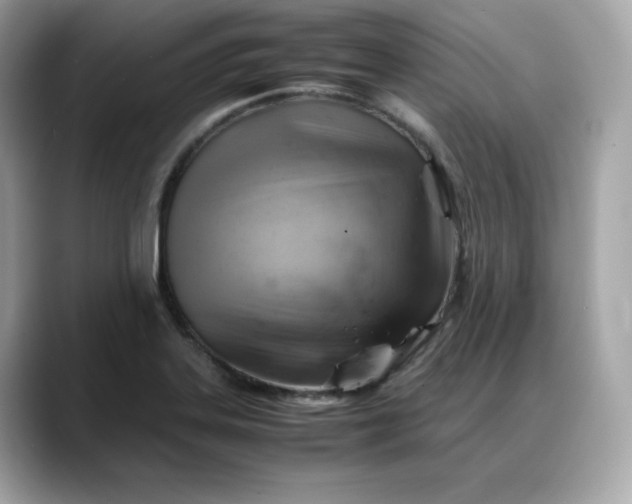 X0000088371323200706051034