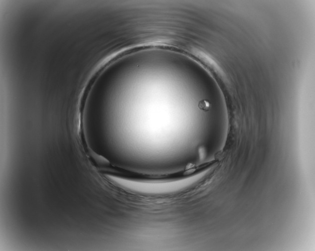 X0000088371324200706051034