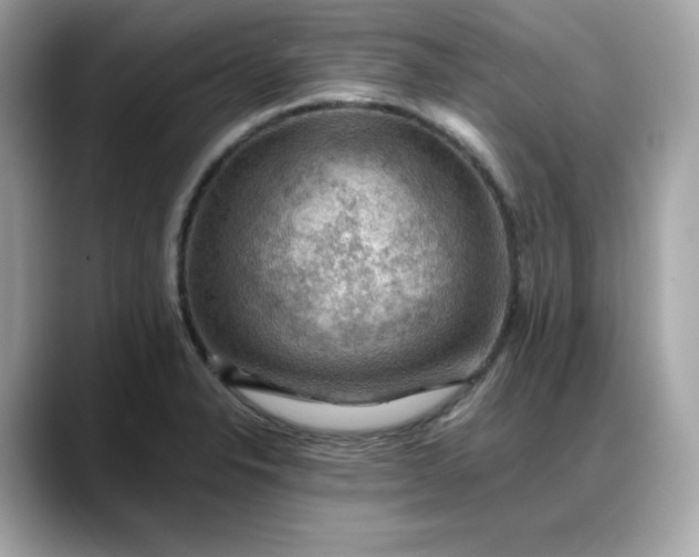 X0000088371326200706051034