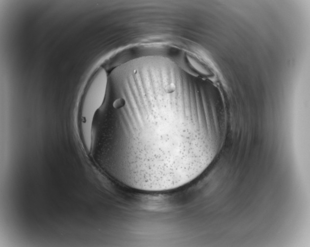 X0000088371328200706051034