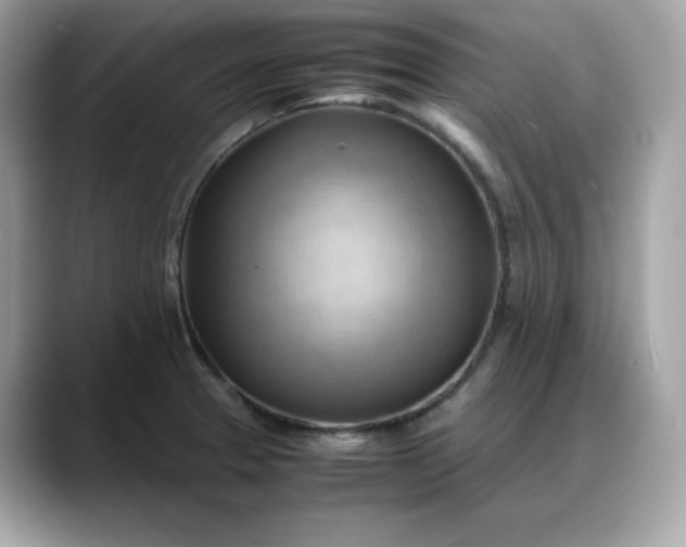X0000088371329200706051034
