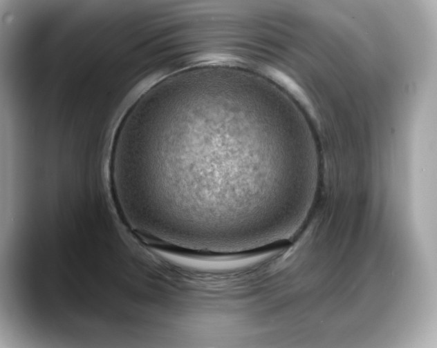 X0000088371330200706051034