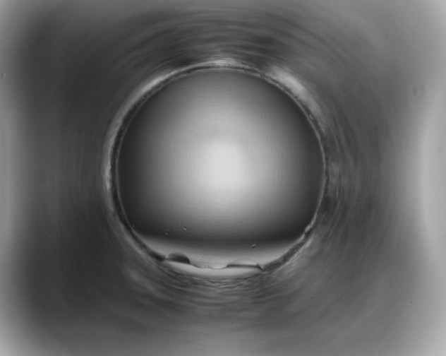 X0000088371331200706051034