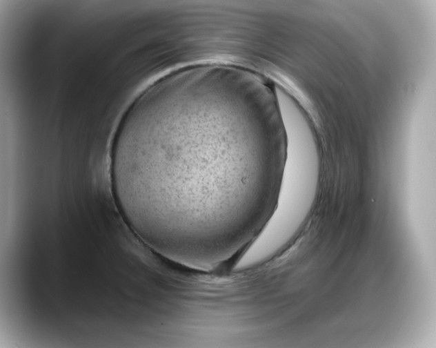 X0000088371332200706051034