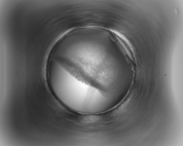 X0000088371333200706051034