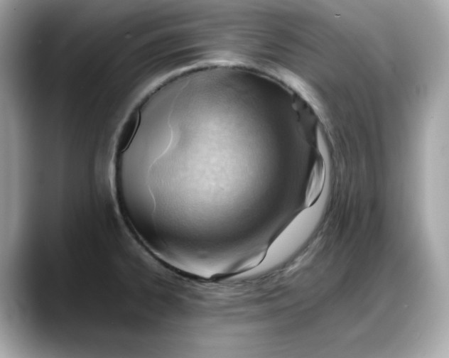 X0000088371334200706051034
