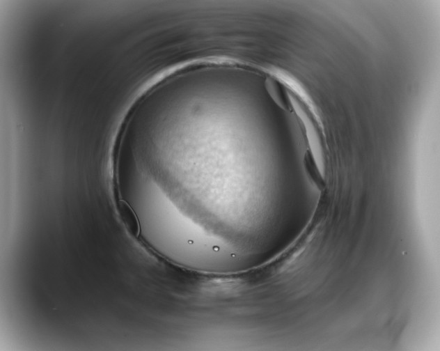 X0000088371335200706051034