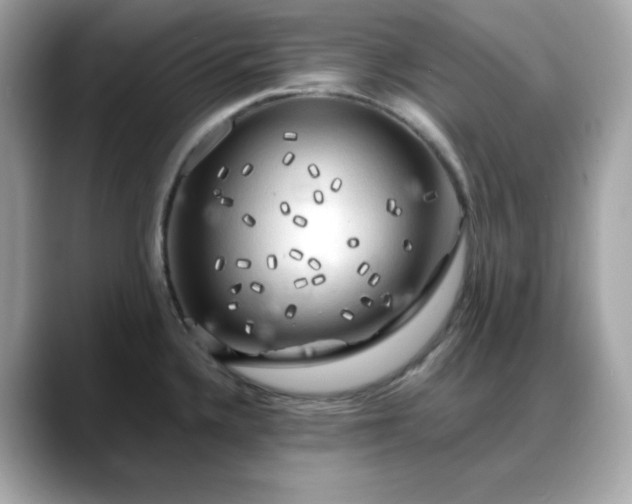 X0000088371336200706051034