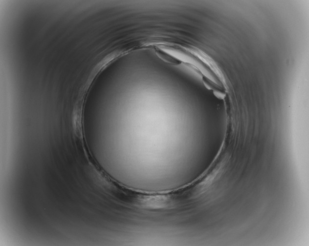 X0000088371337200706051034