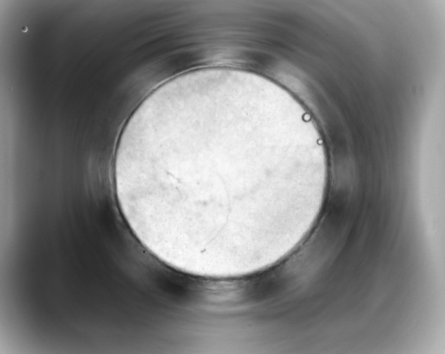 X0000088371338200706051034