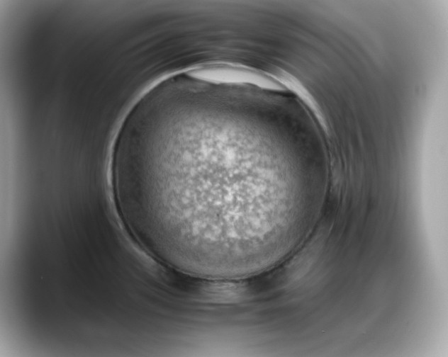 X0000088371339200706051034