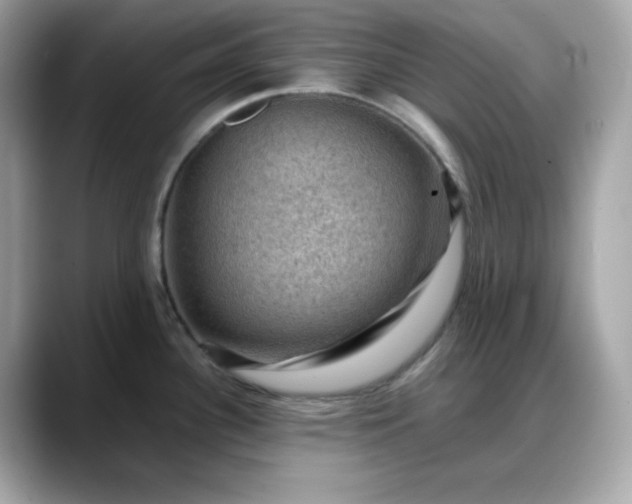 X0000088371340200706051034