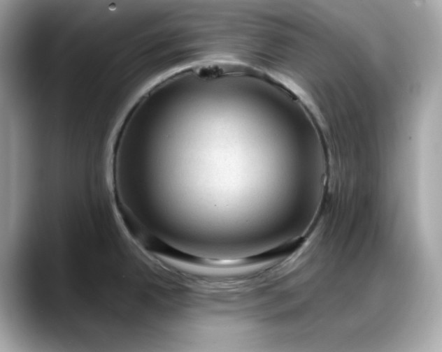 X0000088371342200706051034