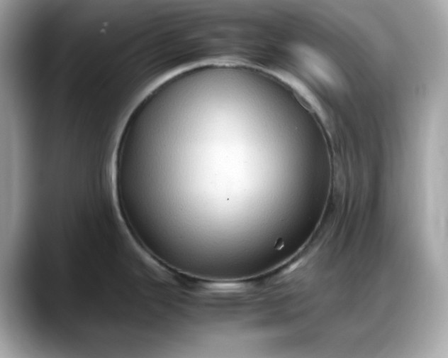 X0000088371343200706051034
