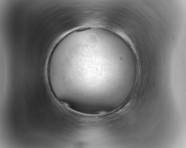 X0000088371344200706051034