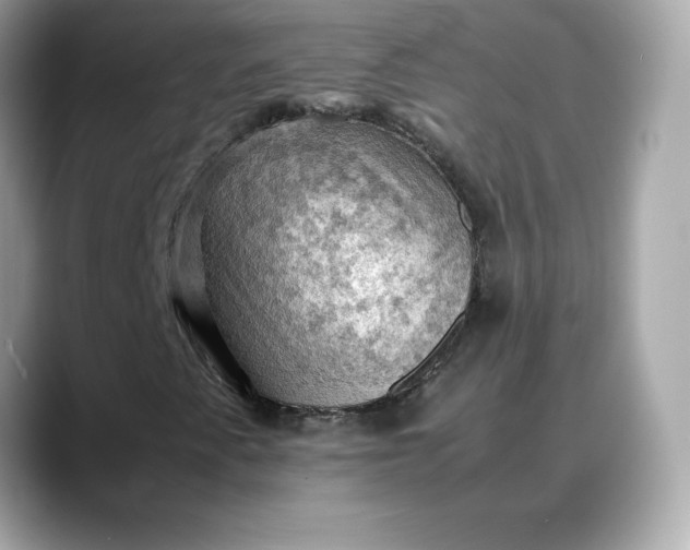 X0000088371345200706051034