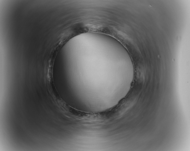X0000088371346200706051034