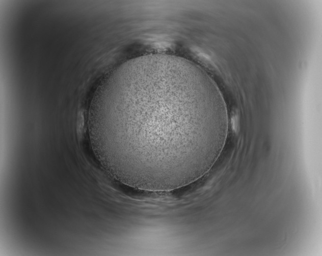 X0000088371347200706051034