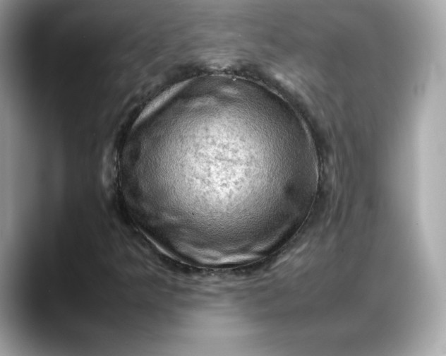 X0000088371349200706051034