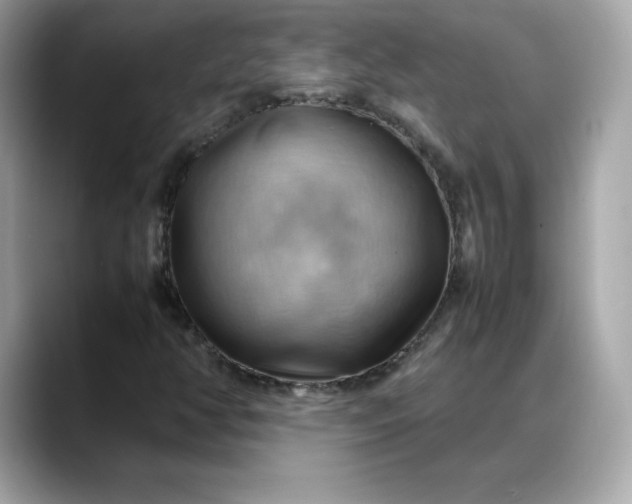 X0000088371350200706051034