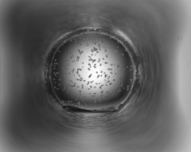 X0000088371352200706051034