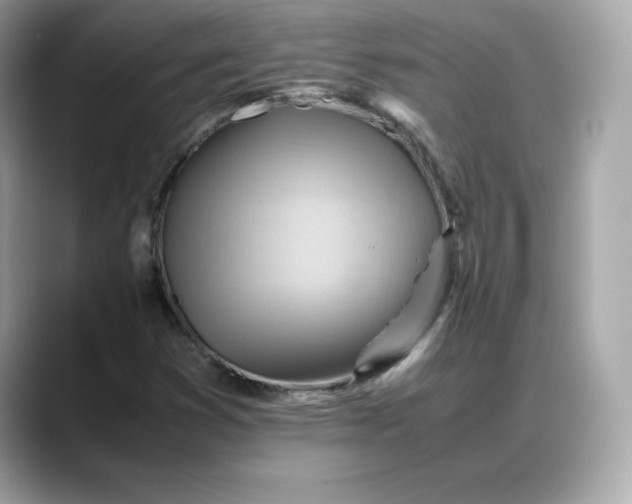 X0000088371353200706051034