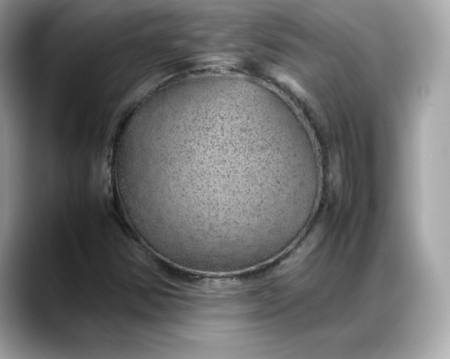 X0000088371354200706051034