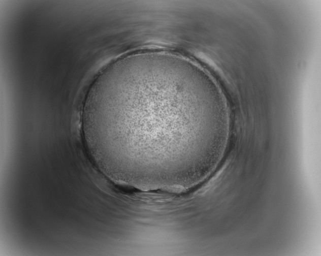 X0000088371355200706051034