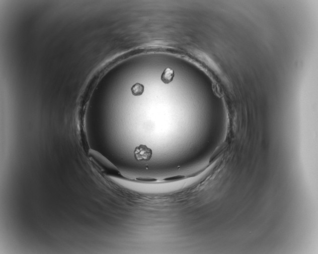 X0000088371356200706051034