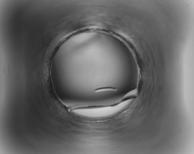 X0000088371359200706051034