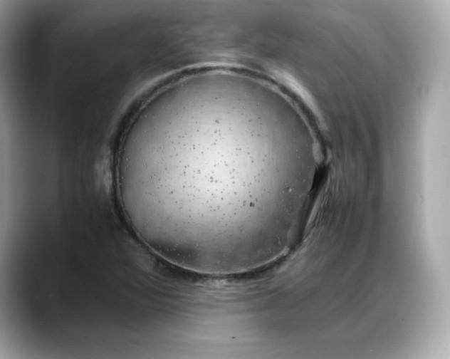 X0000088371360200706051034
