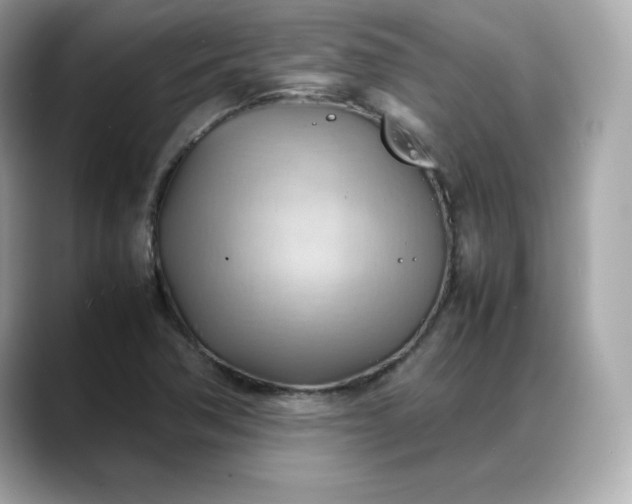 X0000088371362200706051034