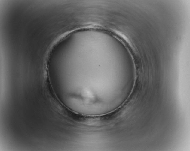 X0000088371363200706051034