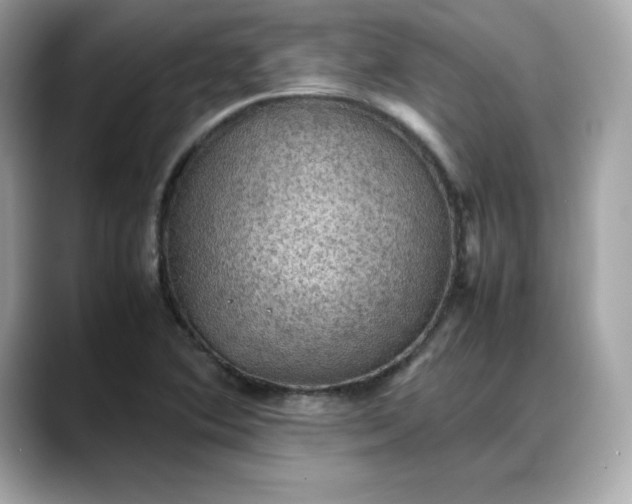 X0000088371364200706051034