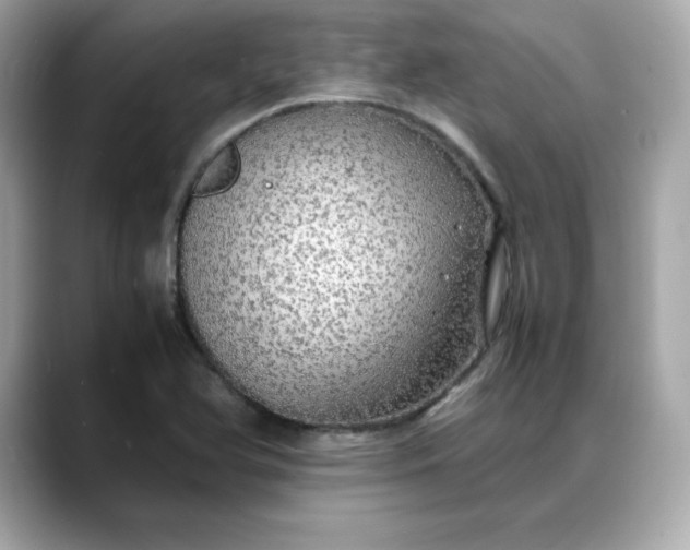 X0000088371366200706051034