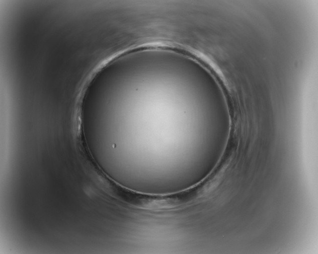X0000088371367200706051034
