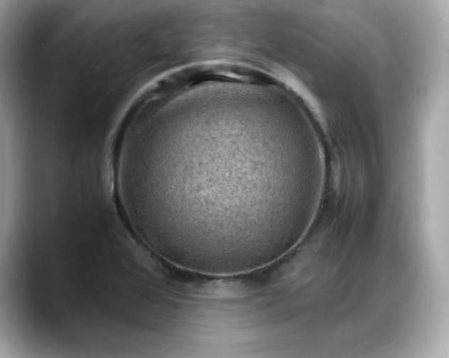 X0000088371368200706051034