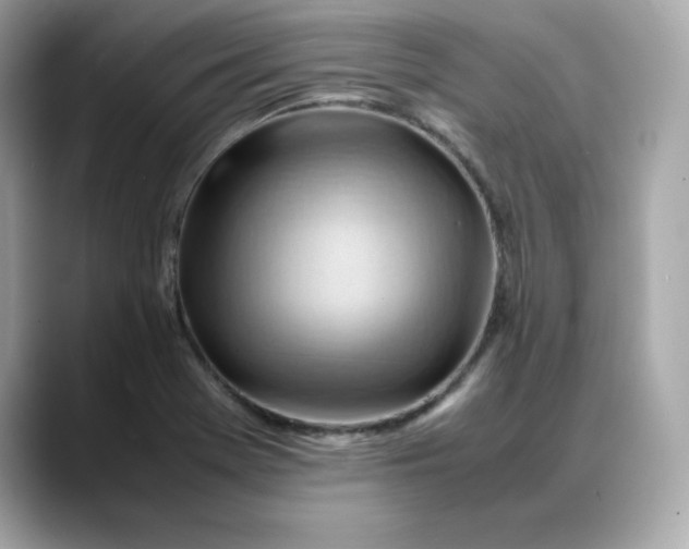 X0000088371369200706051034