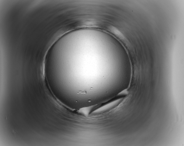 X0000088371370200706051034